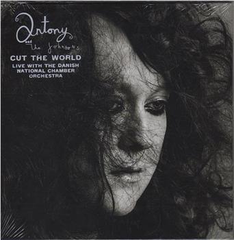 Antony and the Johnsons: Cut the World观看