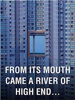 From Its Mouth Came a River of High End Residential Appliances观看