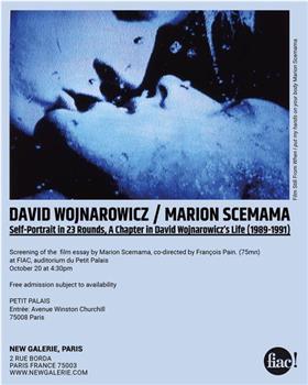 23轮自画像：1989-1991中大卫·沃纳罗维奇生活的一章观看