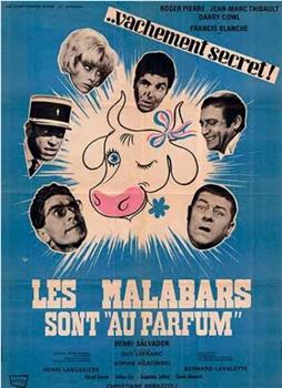 Les malabars sont au parfum观看