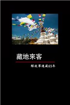 藏地来客——解放军进藏65年观看