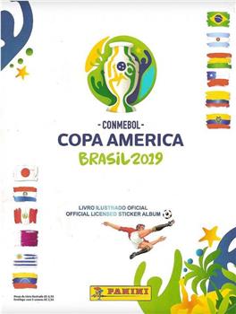 2019年巴西美洲杯观看