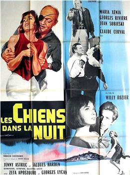 Les chiens dans la nuit观看