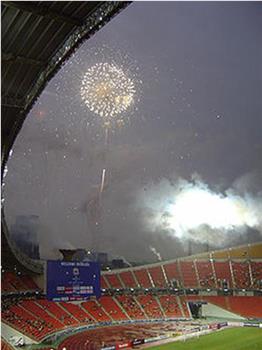 2007年亚足联亚洲杯观看