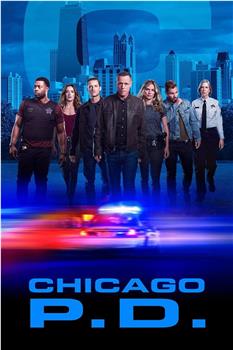 芝加哥警署 第七季观看