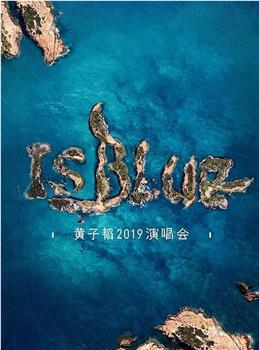 黄子韬2019 IS BLUE演唱会观看