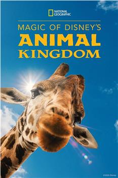 迪士尼动物王国 第一季观看