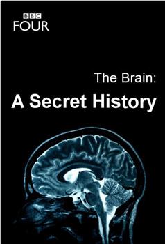 大脑：神秘的历史 第一季观看