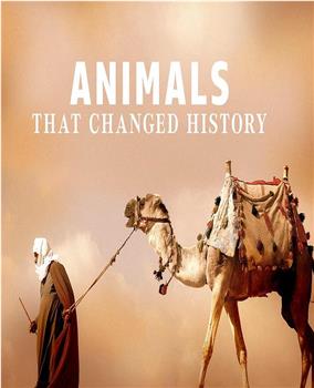 改变历史的动物观看