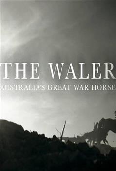 沃勒：澳大利亚的一战战马观看
