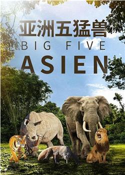 亚洲五猛兽观看