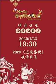 2020年辽宁卫视春节联欢晚会观看