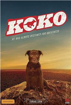 Koko:红犬历险记观看