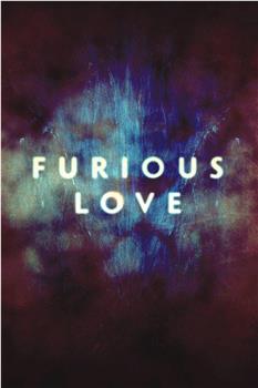 Furious Love观看