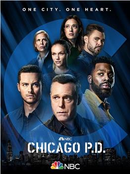 芝加哥警署 第九季观看
