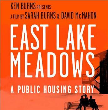 东湖草地：一个关于公共住房的故事观看