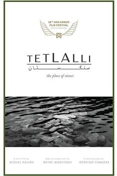 Tetlalli: The Place of Stones观看