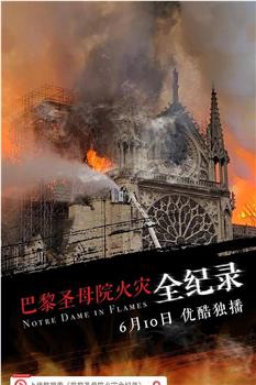 巴黎圣母院火灾全纪录观看
