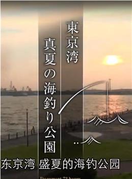 纪实72小时 东京湾盛夏的海上钓鱼公园观看