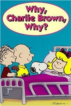 为什么，查理·布朗，为什么？观看