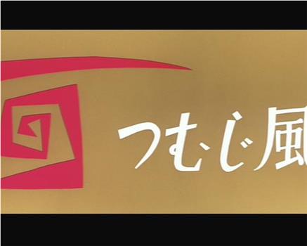 つむじ風观看