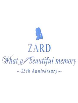 纪念ZARD 25周年演唱会观看