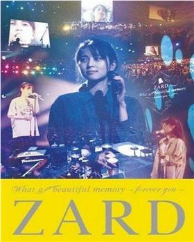 ZARD 20周年纪念演唱会观看