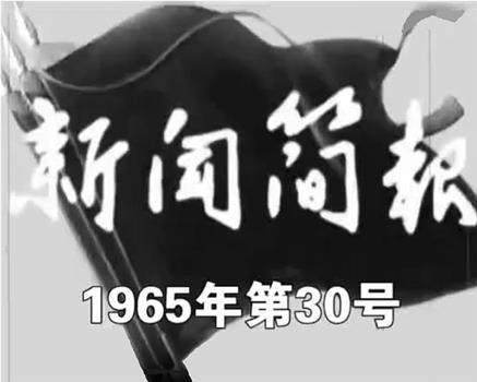 新闻简报1965年第30号观看