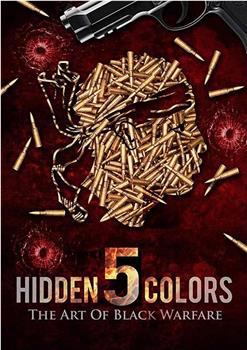 Hidden Colors 5: The Art of Black Warfare观看