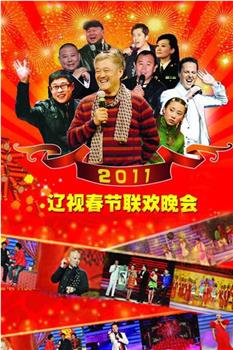 2011年辽宁卫视春节联欢晚会观看