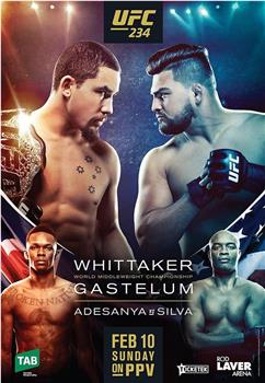 UFC 234: 阿迪萨亚 vs. 安德森席尔瓦观看