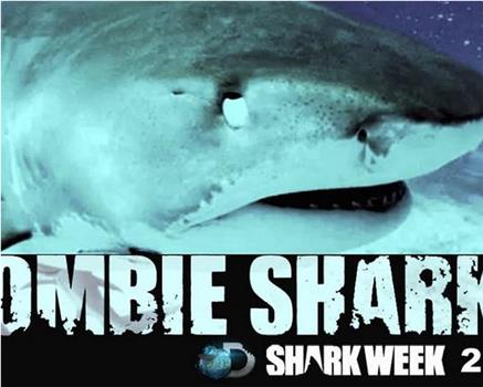 Zombie Sharks观看