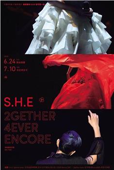 S.H.E 2GETHER 4EVER 演唱会观看