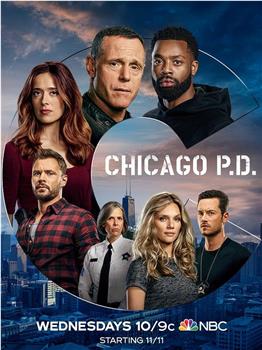芝加哥警署 第八季观看