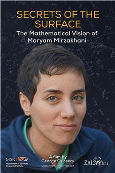 曲面的秘密：玛丽安·米尔札哈尼的数学世界观看