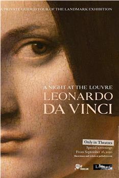 卢浮宫之夜：列奥纳多·达芬奇观看
