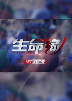 生命缘·再战新冠观看