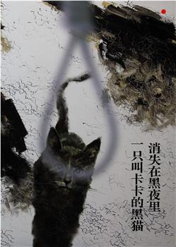 一只叫卡卡的黑猫消失在黑夜里观看