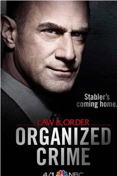 法律与秩序：组织犯罪 第一季观看