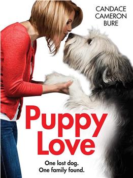 Puppy Love观看