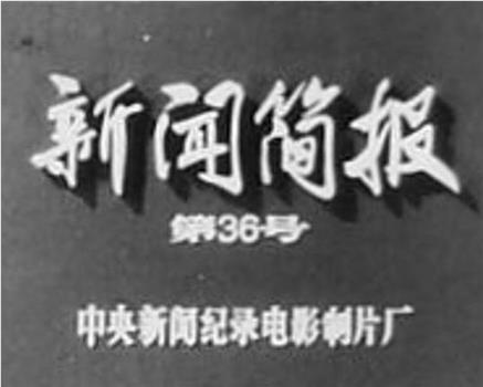 新闻简报1973年第36号观看