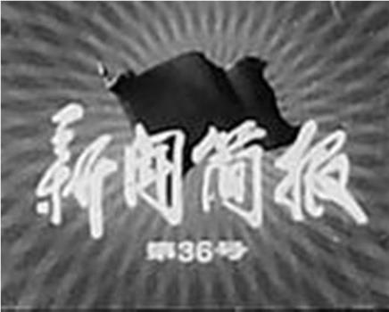 新闻简报1975年第36号观看