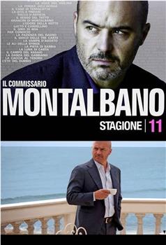 蒙塔巴诺督查 第11季 Inspector Montalbano Season 11 Season 11观看