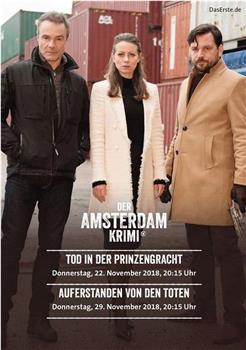 Der Amsterdam Krimi Season 2观看