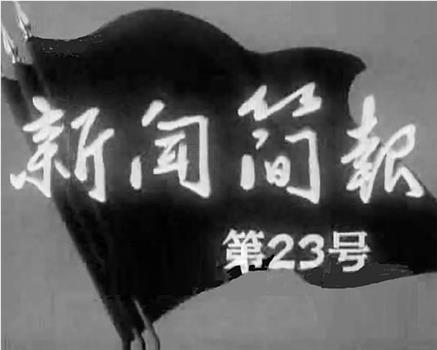 新闻简报1965年第23号观看