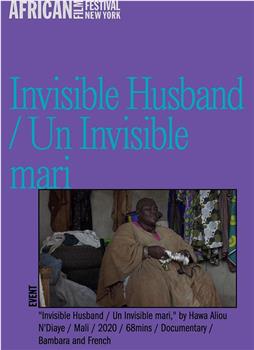 Invisible Husband观看