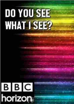 BBC 地平线系列: 你看到我所见了么观看