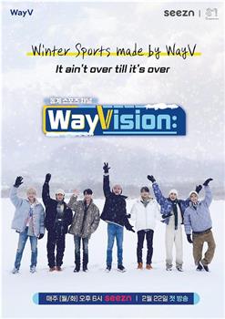 WayVision 2观看