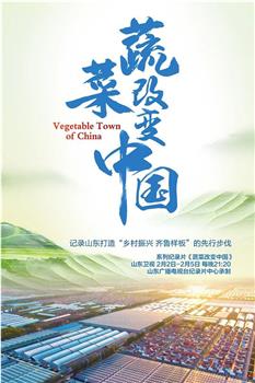 蔬菜改变中国观看