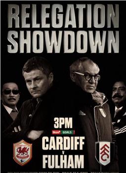 Cardiff City vs Fulham观看